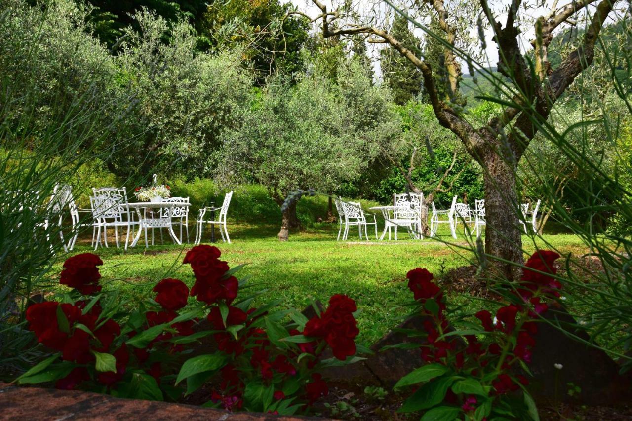 La Sosta In Toscana Camaiore Bagian luar foto